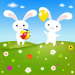 Rabbits
