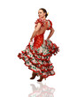 Young woman dancing flamenco Young woman dancing flamenco