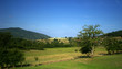 Paysage bourguignon. Paysage bourguignon.