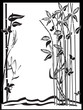Bamboo