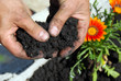 Foto: Black soil Black soil
