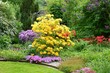 Garten mit Azalee