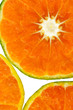 Tangerine slice