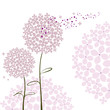 Abstract springtime purple Hydrangea flower