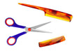 Scissors and comb
