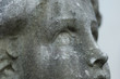 occhi d'angelo