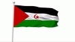 Fahne West Sahara PAL