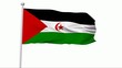 Fahne West Sahara NTSC