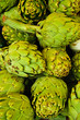 Pile of fresh globe Artichokes in a market stand Pile of fresh globe Artichokes in a market stand