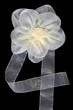 Fiocco coccarda, ornamento