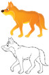 wild dog dingo