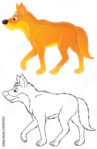 Illustration: wild dog dingo wild dog dingo