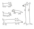 animals