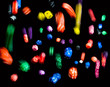 dice motion