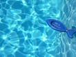 Photo: Schwimmbad mit Thermometer Schwimmbad mit Thermometer