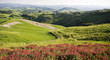 Tuscany