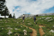 French Alps in June