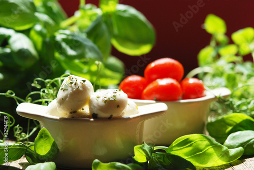 Photo: mozzarella minis mozzarella minis
