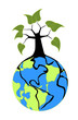 Big tree on our planet