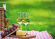 Summer picnic Summer picnic