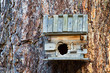 Small wooden bird house with a tree trunk background