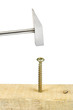 Hammer and screw