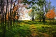 Frühling in der Rhön (Kreuzberg)
