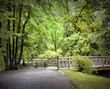 Bridge in spring park