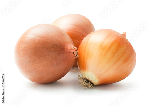 Photo: Onion Onion