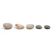 stone stone