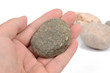stone stone