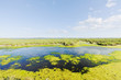 Camargue Francia