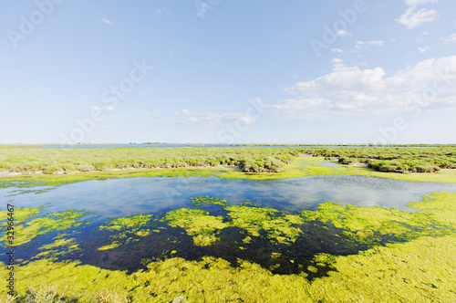 Foto: Camargue Francia Camargue Francia
