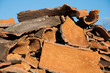 Cork wood slices in Sardinia, Italy
