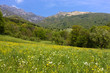 The Belluno Dolomites National Park