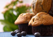 blueberry Muffin on the table, in background a green plant
