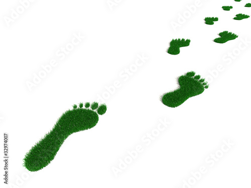 Illustration: Grass footprint Grass footprint