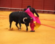 Corrida