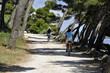 fahrradweg am meer
