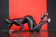 Photo: Zentai Theatre Zentai Theatre