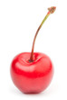 Sweet cherry