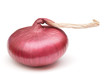 onion