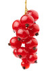currant