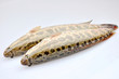 Photo: snackhead fish snackhead fish
