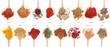 Spices collection on spoons