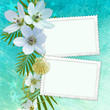 Summer greeting card Summer greeting card