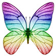 Schmetterling Regenbogenfarben