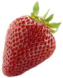 fragole