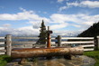 holzbrunnen