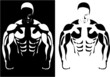 contour of the athlete on the black and white background. vector